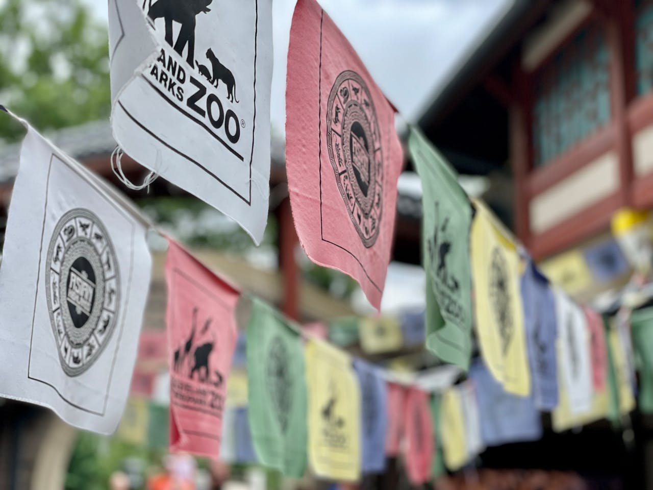 Vibrant zoo-themed flags lined up outdoors in Cleveland, Ohio.